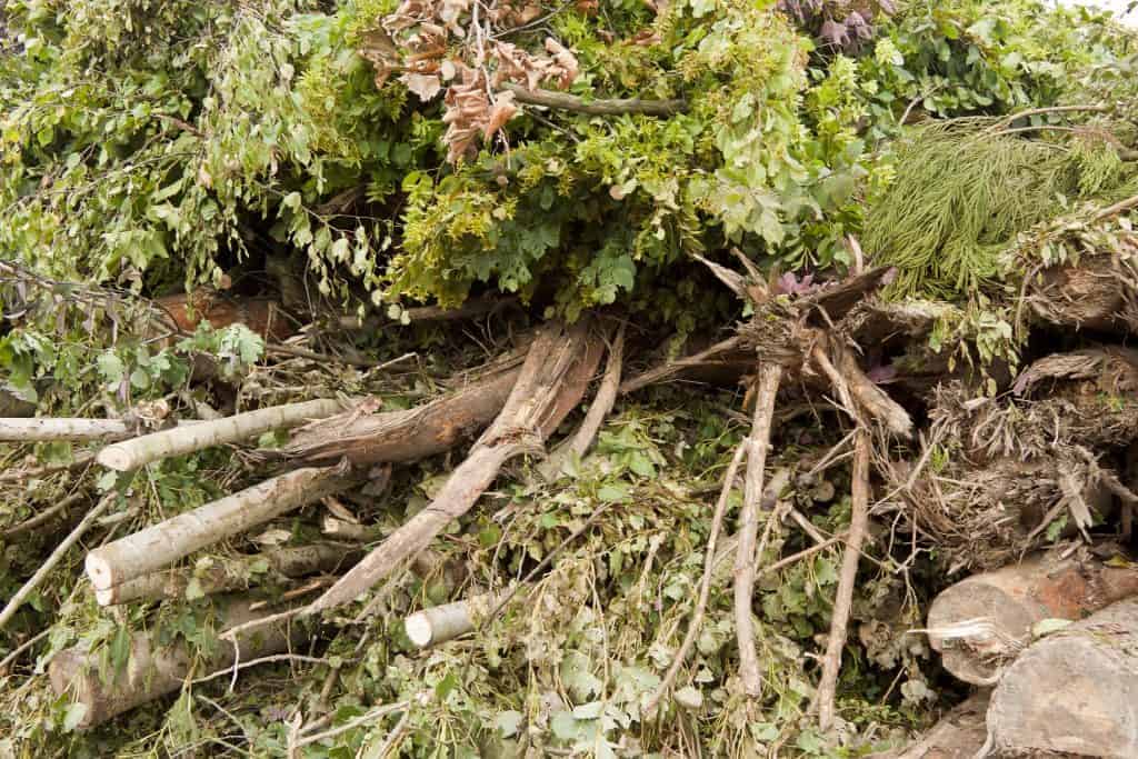 CO2 rekentool voor groene reststromen